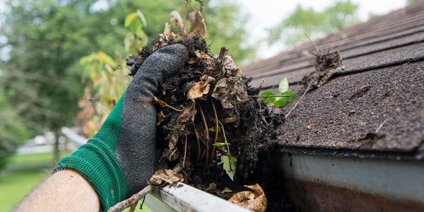 YOUR GUIDE TO BETTER GUTTER CARE
