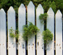 content icon fence