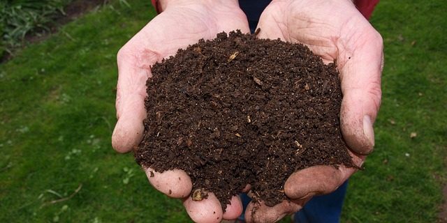 QUICK HOME COMPOSTING TIPS